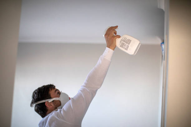 Best Commercial Mold Removal  in Freeland, PA